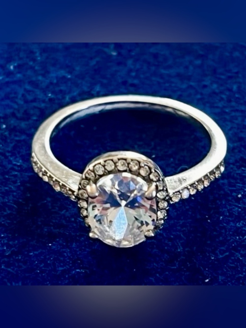 Ladies Round  Solitaire Ring pave band